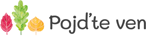 Primary Raster logo